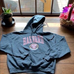 Harvard Hoodie